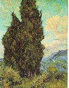 Vincent Van Gogh Cypresses Germany oil painting artist